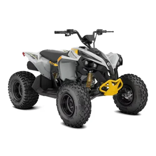Mönkijä Can-Am Renegade EFI 110 Grey & Yellow 2025