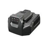 Laturi 210W EGO Power CH2100E 56V
