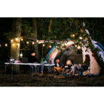 Invertteri EGO Power+ PAD5001E 500W