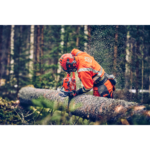 Moottorisaha Husqvarna 560 XP Mark II 15"