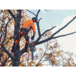 Akkusaha Husqvarna 550i XPG 15"