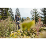 Raivaussaha Stihl FS 131