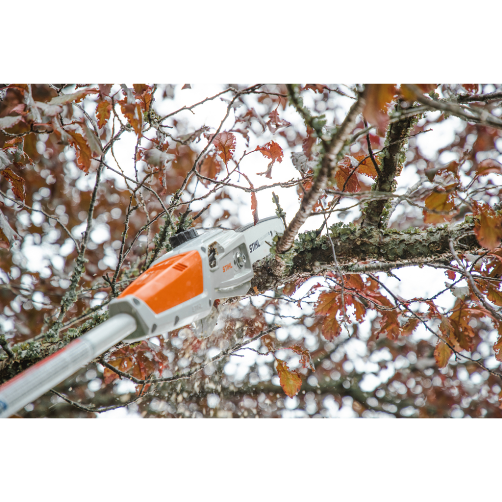 Akkuoksasaha Stihl HTA 50.0