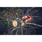 Kiila Husqvarna Arborist