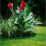 Ryhmäreunus Gardena 20 cm
