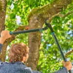 Raivaussakset Gardena EnergyCut Pro L alasin